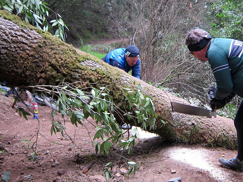 BTCEB clearing Sequoia-Bayview Trail - Joaquin Miller Park