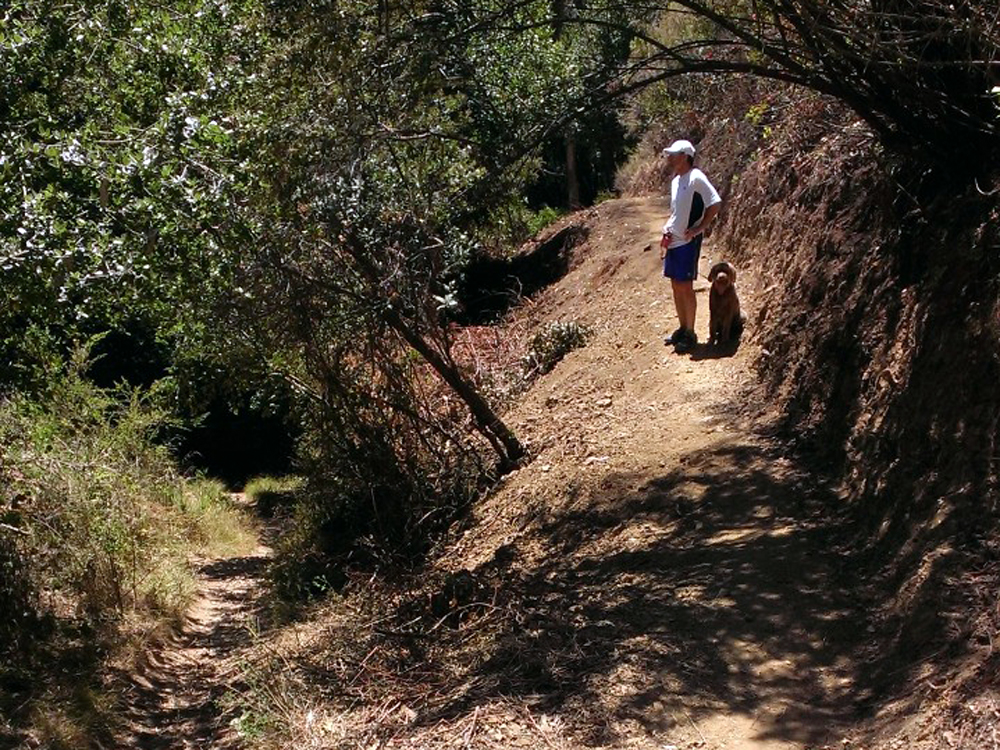 Reroute of Cinderella Trail by V-O-Cal - Joaquin Miller Park