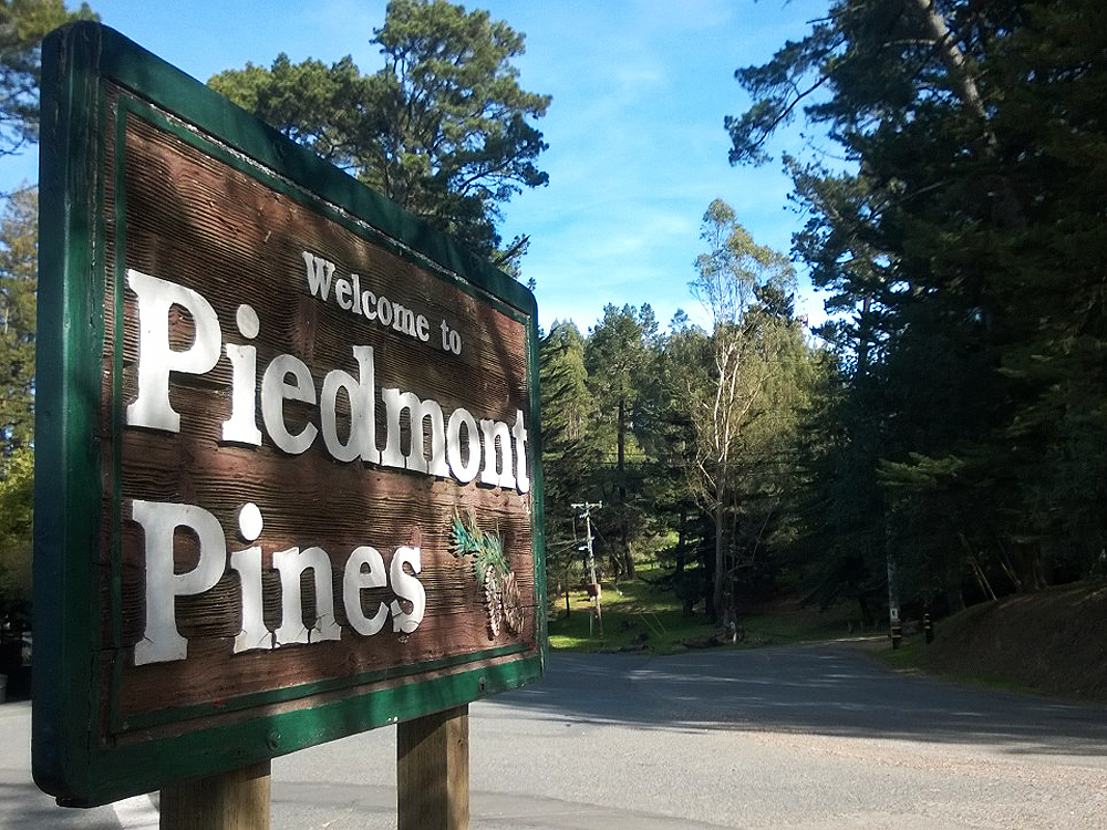 Piedmont Pines at Joaquin Miller Park