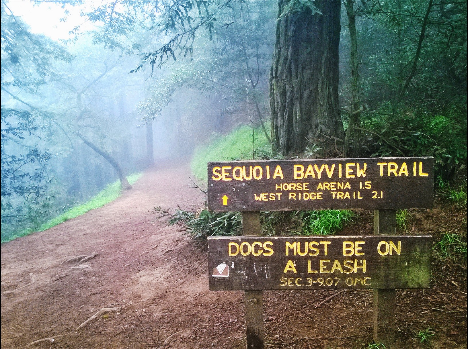 Sequoia-Bayview Trailhead - JMP
