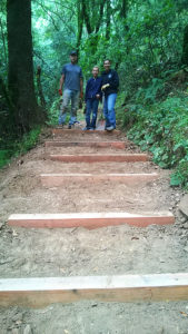 fern ravine steps #1